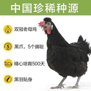 齐鲁畜牧 黑凤鸡 约2.2斤*2只
