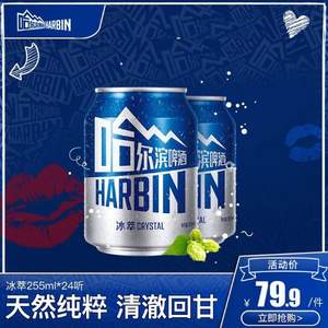 Harbin 哈尔滨啤酒 冰萃小嗨啤255ml*24听