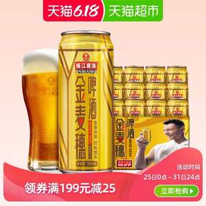 珠江啤酒 10°P金麦穗 500ml*12听