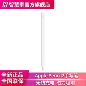 Apple 苹果 Apple Pencil 手写笔 (第二代) 