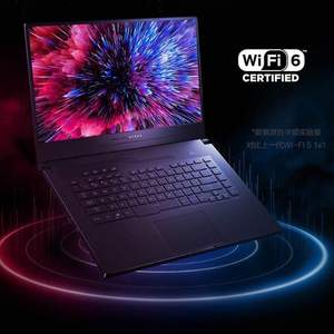 ROG 玩家国度 冰锐2 15.6英寸游戏本 (R7-4800HS/16GB/512GB/RTX2060Max-Q)