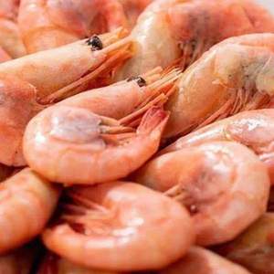 百仙岛 加拿大进口野生熟冻北极甜虾 净重2kg