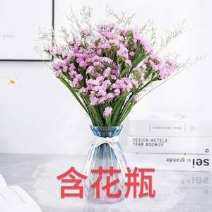 带花瓶，芙格 勿忘我干花花束 多款