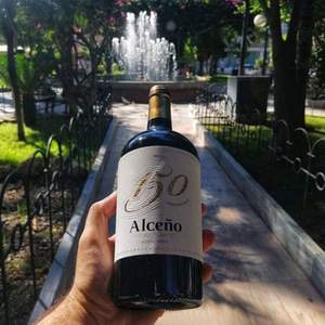 ALCENO 奥仙奴 150 Aniversario 150周年纪念红葡萄酒 西班牙2017年 750ml