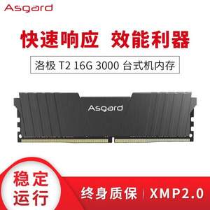 Asgard 阿斯加特 洛极T2 DDR4 3000频 台式机内存 16GB 