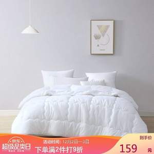 LOVO 乐蜗家纺 艺享 七孔亲肤被芯 200*230cm*2件 多规格