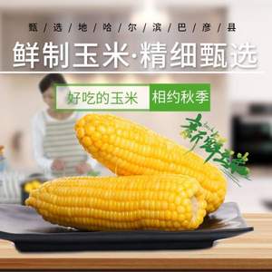 裕道府 东北甜糯玉米棒200g*10支