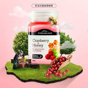 Streamland 新溪島 天然野生蔓越莓/奇異果蜂蜜 500g 