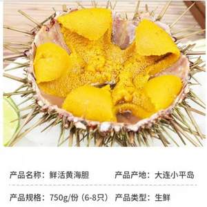 小平岛 鲜活黄金海胆 750g/份（6-8个）