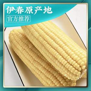 玉双 黑龙江伊春甜糯玉米 8根2kg