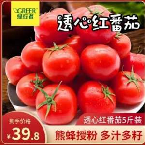 自然熟！綠行者 透心紅番茄 5斤裝