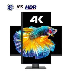 ViewSonic 优派 VX2831-4K-HD 28英寸IPS显示器