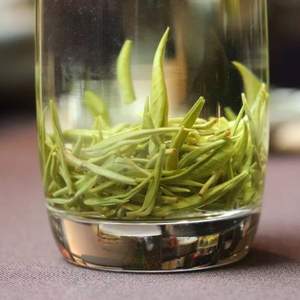 <span>老白严选！</span>茶中黄金，湖南保靖黄金茶 2021顶级有机绿茶