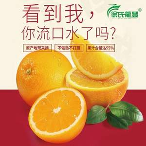 徐氏龙丰 新宁崀山纽荷尔脐橙3斤 