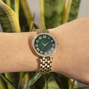 Anne Klein 安妮·克萊因 AK/2230GNGB 施華洛世奇水晶女士手表