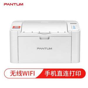 PANTUM 奔图 P2206NW 小型黑白激光打印机