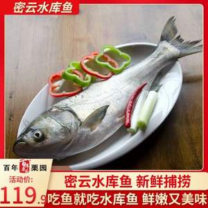 降￥21，百年栗园 北京密云水库白鲢鱼 1.2kg/条*2条
