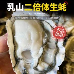 味库 鲜活乳山生蚝（90g-120g）XL* 5斤