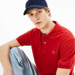 <span>白菜！</span>5/6碼，LACOSTE 法國鱷魚 21年款 男士短袖POLO衫 L1264