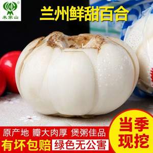 米家山 蘭州新鮮百合 500g 