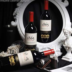 PLUS会员，圣佩特罗酒庄 1865系列 赤霞珠干红葡萄酒 750ml