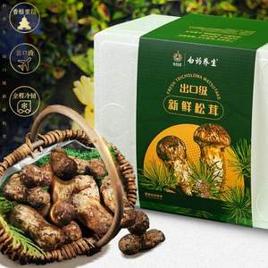 云南白药官方出品，云南特产 鲜松茸菌菇（6-8cm） 礼盒装 500克