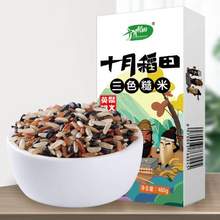 十月稻田 轻食三色糙米480g*2袋