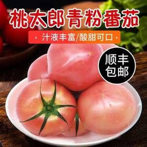 绿行者 桃太郎 青粉番茄新鲜西红柿5斤