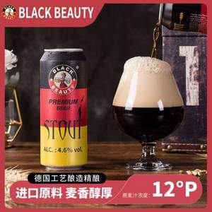 黑美人 德国工艺精酿黑啤酒500ml*6罐