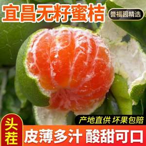 誉福园 宜昌青皮无籽蜜桔（单果60-75mm）5斤