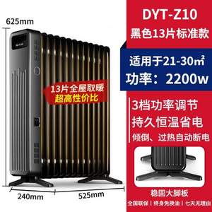 Singfun 先锋 DYT-Z10 家用电热油汀13片