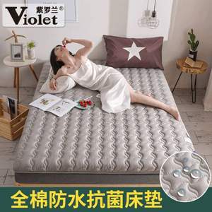 紫罗兰 全棉抗菌防螨加厚保暖床垫 多规格