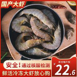 惠之园食品 青岛新鲜海捕活冻大虾 净重1400g