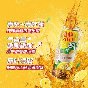 Vita 维他 气泡柠檬茶 310mL*24罐