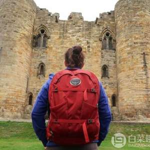 Osprey 小鹰 Farpoint 40 旅行双肩背包 M/L码