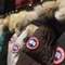 24S：Canada Goose 加拿大鵝 2023情人節(jié)精選羽絨服/夾克外套