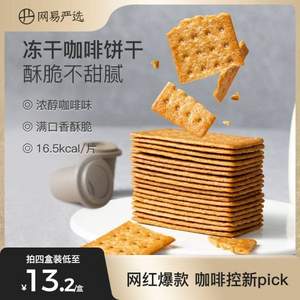 网易严选 冻干咖啡饼干 340g