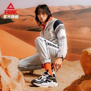 Peak 匹克 態(tài)極熠熠 男士防滑復(fù)古老爹鞋