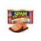 SPAM 世棒 午餐肉罐頭 培根口味 198g*10件