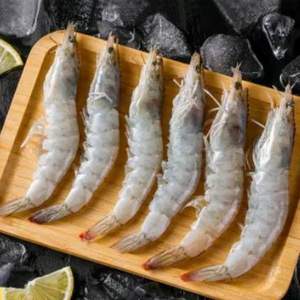 蟹聯(lián)蟹業(yè) 國產新鮮白蝦凈重1500g