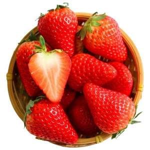 莓旅 丹东99红颜奶油草莓 1斤大果*2件