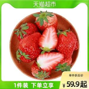 顺丰包邮，天猫超市自营 丹东99红颜草莓 1400g 
