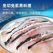 中国水产流通与加工协会店，恒兴恒 免洗免浆黑鱼片250g*5件