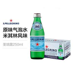 S.PELLECRINO 圣培露 充气天然矿泉水 玻璃瓶 250ml*24瓶 