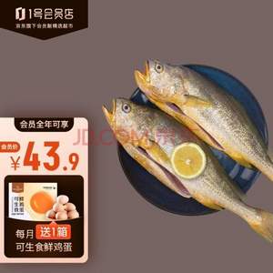 1號會員店 寧德三去黃花魚 700g/2條