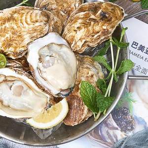 巴美亞 刺身生蠔 L(70g(含)-90g(不含)) 禮盒裝 12粒+贈2粒