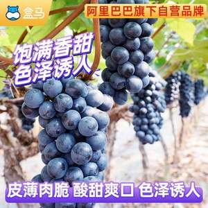 盒马 新鲜现摘云南无籽夏黑葡萄 4斤