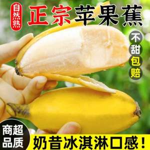 譽(yù)福園 正宗蘋果蕉香蕉 5斤
