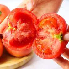 北京奥运会食材供应商，绿行者 普罗旺斯西红柿番茄 5斤