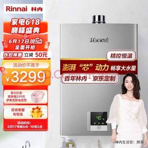 20点开始，Rinnai 林内 零干扰系列 JSQ31-D31 燃气热水器（天然气）16L